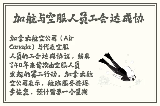 白桃美人一片式a字半身裙